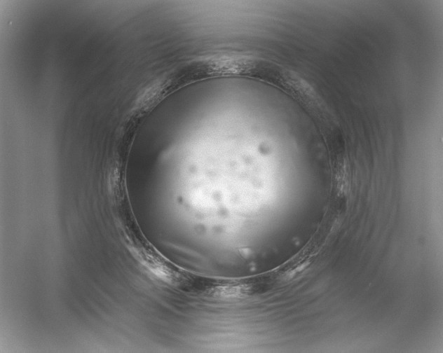 X0000053000314200508051141