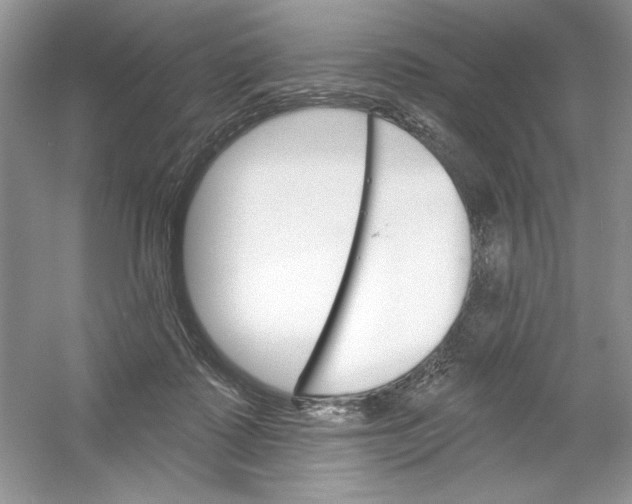 X0000053000315200508051141