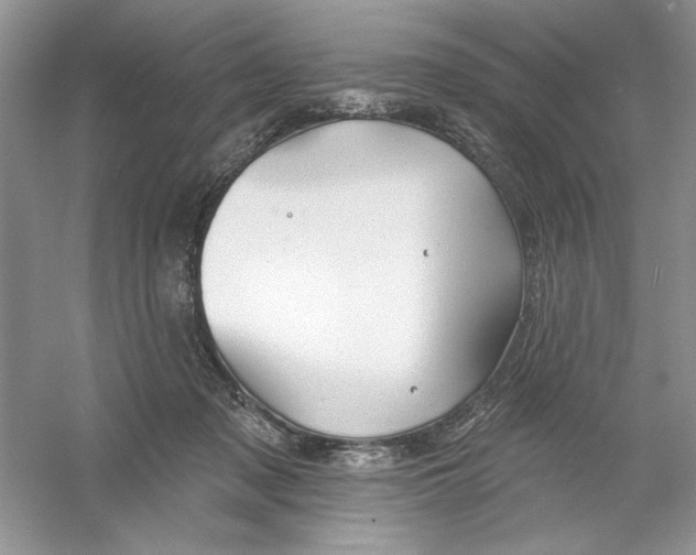 X0000053000317200508051141