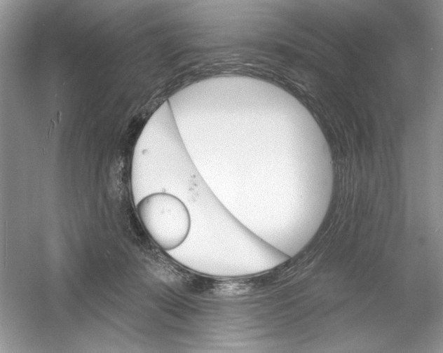 X0000053000319200508051141