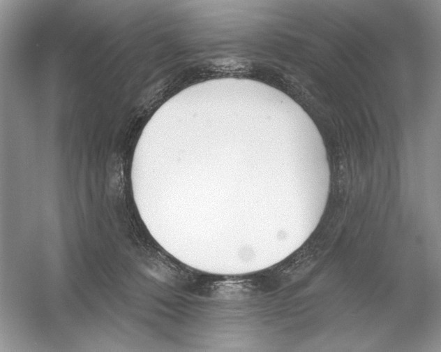 X0000053000320200508051141