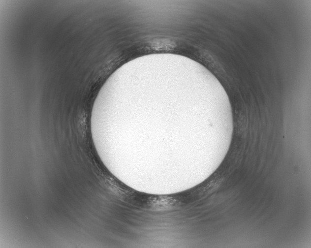 X0000053000321200508051141