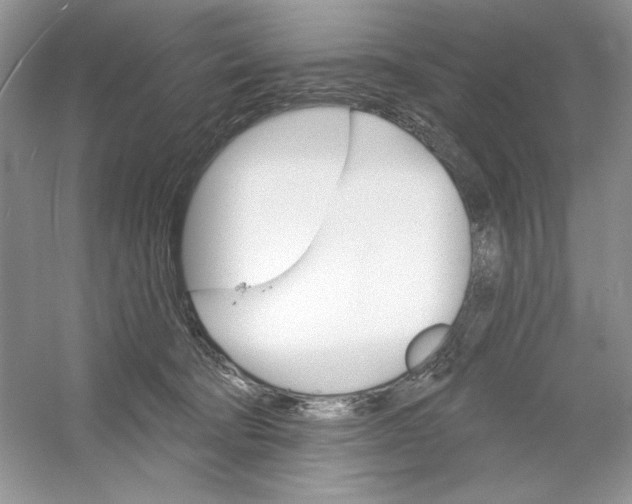 X0000053000322200508051141