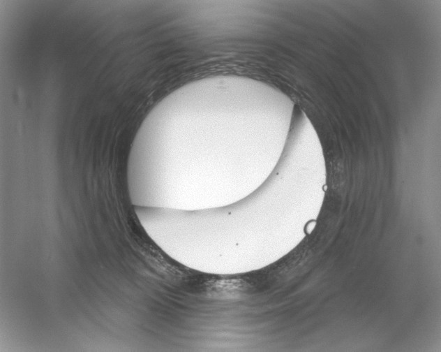 X0000053000324200508051141