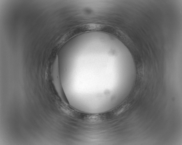 X0000053000325200508051141