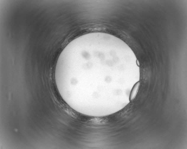 X0000053000326200508051141