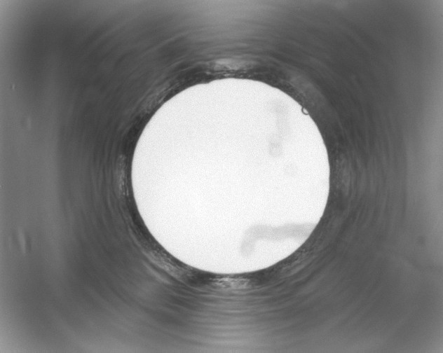 X0000053000328200508051141