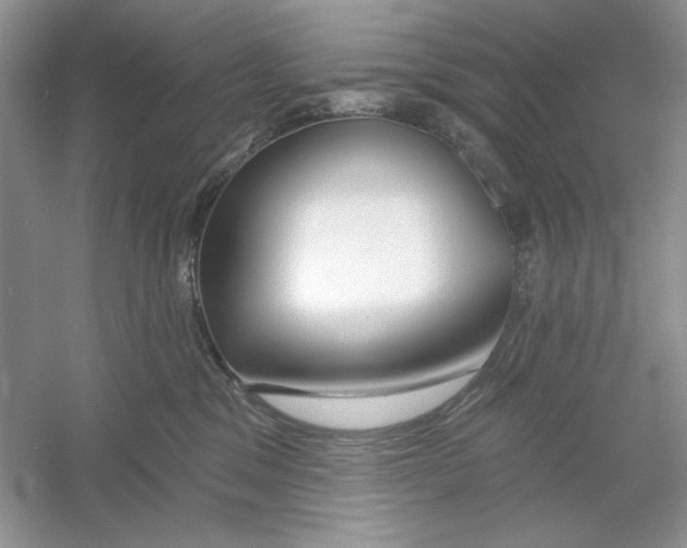 X0000053000329200508051141