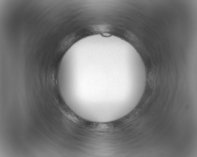 X0000053000330200508051141