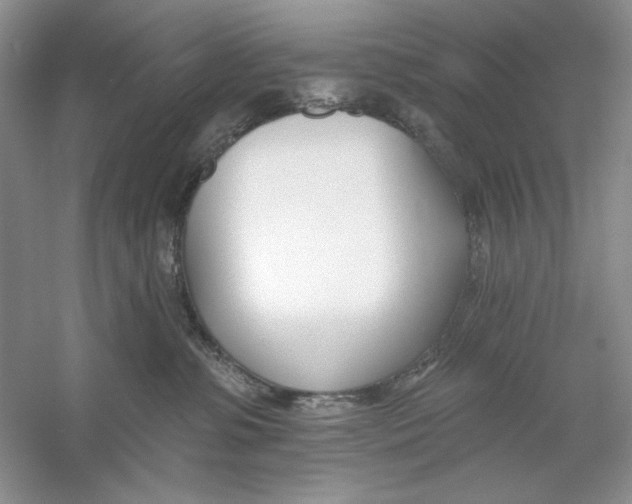 X0000053000331200508051141