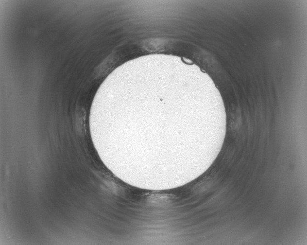 X0000053000332200508051141