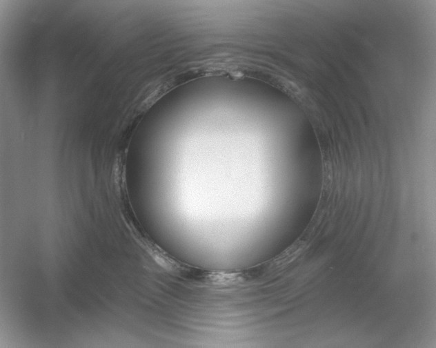 X0000053000333200508051141