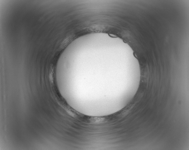 X0000053000334200508051141