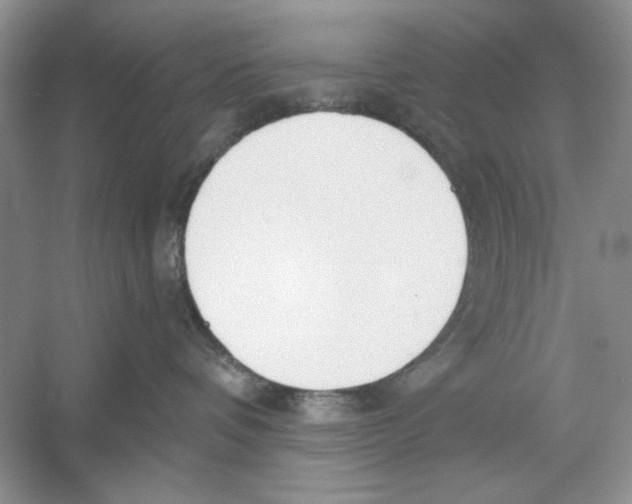 X0000053000336200508051141