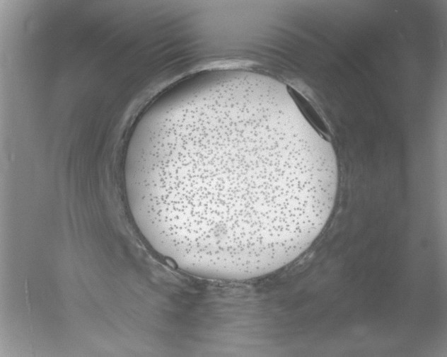 X0000053000337200508051140