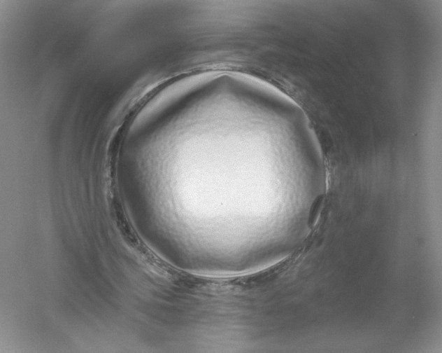 X0000053000339200508051140