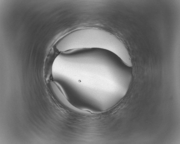 X0000053000340200508051140