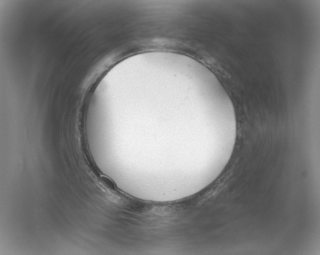 X0000053000341200508051140