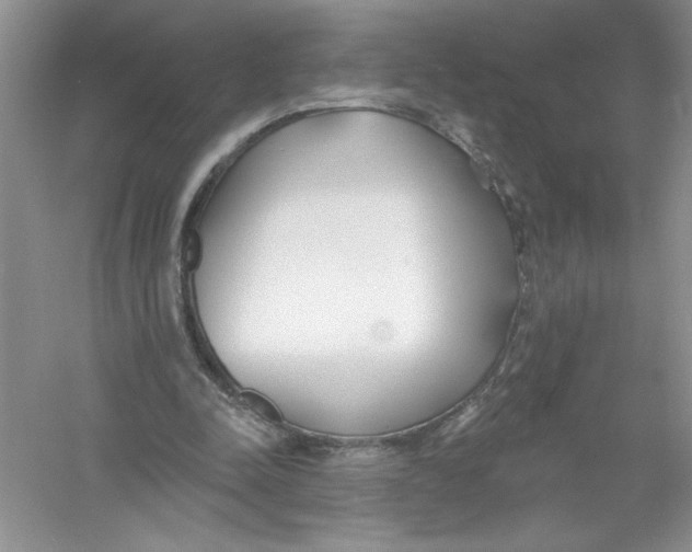 X0000053000342200508051140