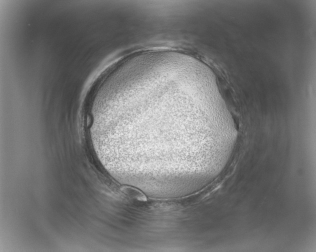 X0000053000343200508051140