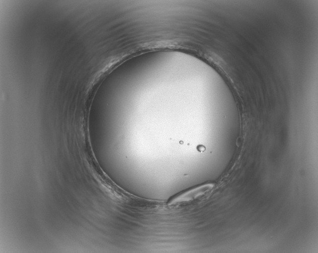 X0000053000345200508051140