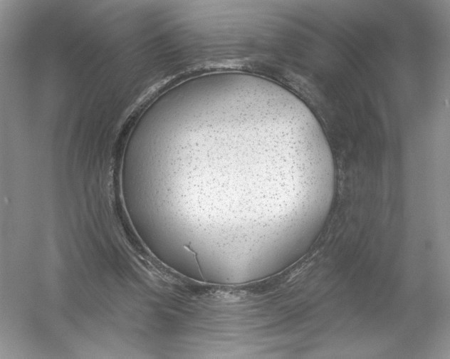 X0000053000346200508051140