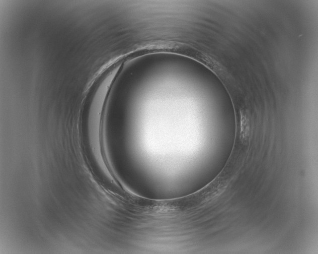 X0000053000348200508051140