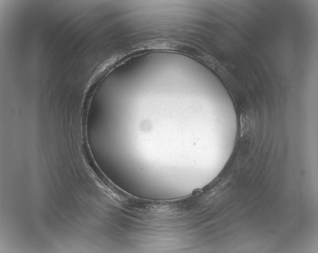 X0000053000349200508051140