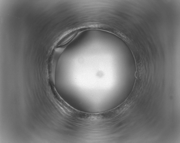 X0000053000350200508051140