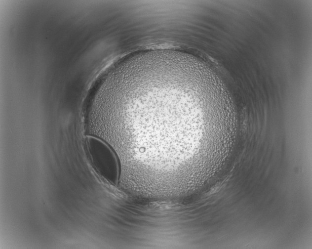 X0000053000351200508051140