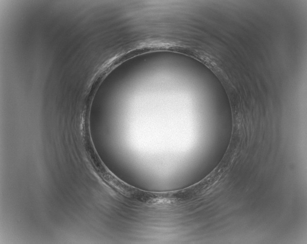 X0000053000352200508051140