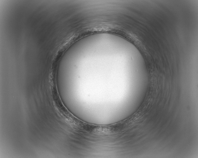 X0000053000354200508051140