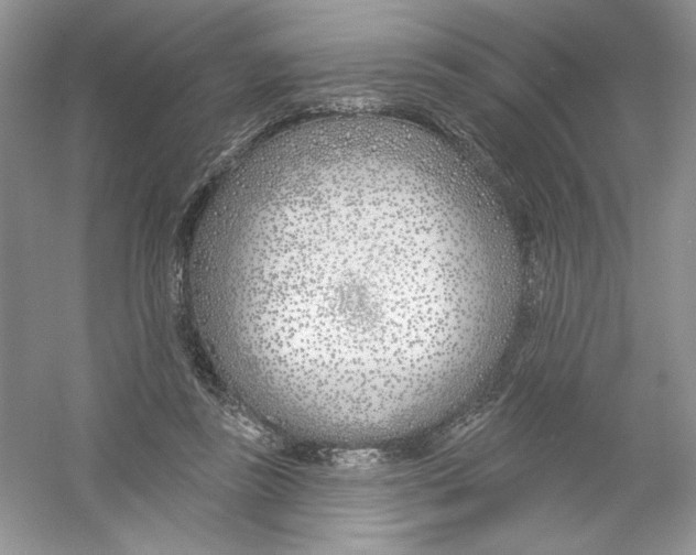 X0000053000355200508051140