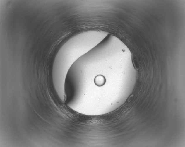 X0000053000356200508051140