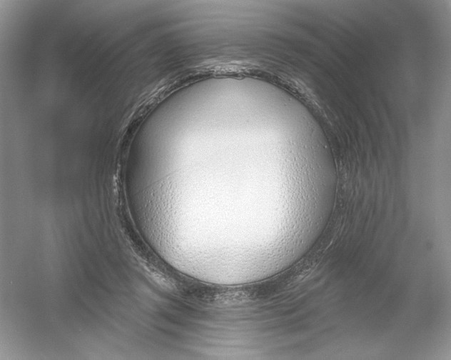 X0000053000357200508051140