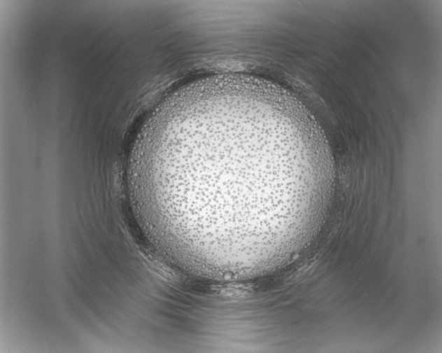 X0000053000359200508051140