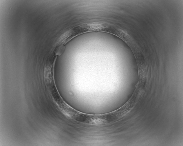 X0000053000360200508051140