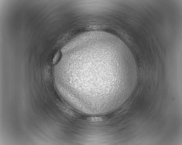 X0000053000361200508051140