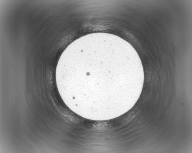 X0000053000362200508051140