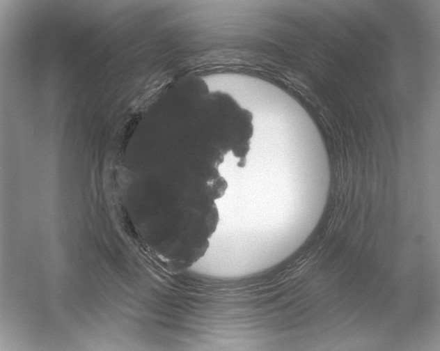 X0000053000363200508051140