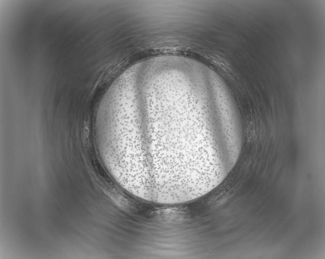 X0000053000365200508051140