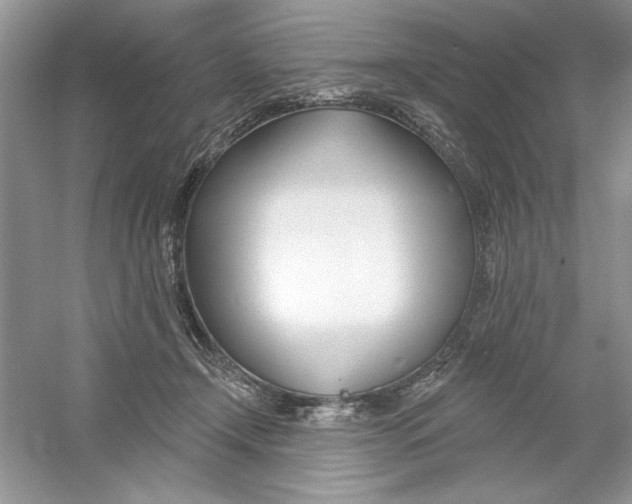 X0000053000366200508051140