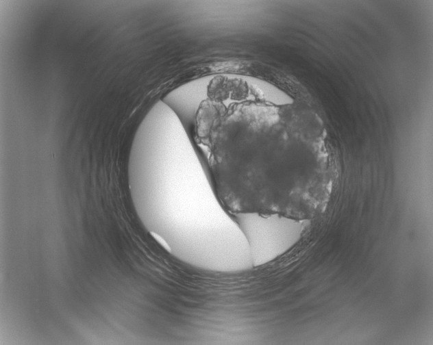 X0000053000367200508051140