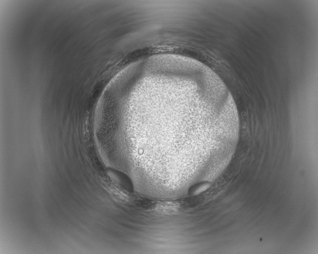 X0000053000369200508051140