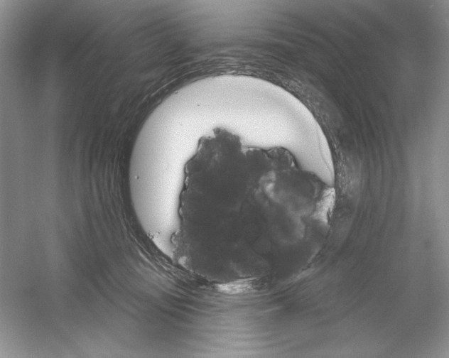 X0000053000371200508051140