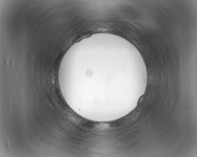 X0000053000374200508051140