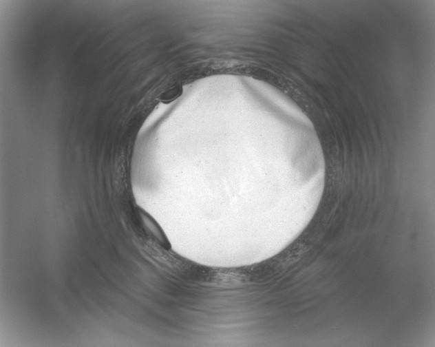 X0000053000376200508051140