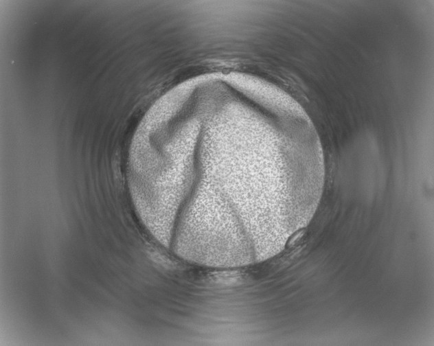 X0000053000377200508051140