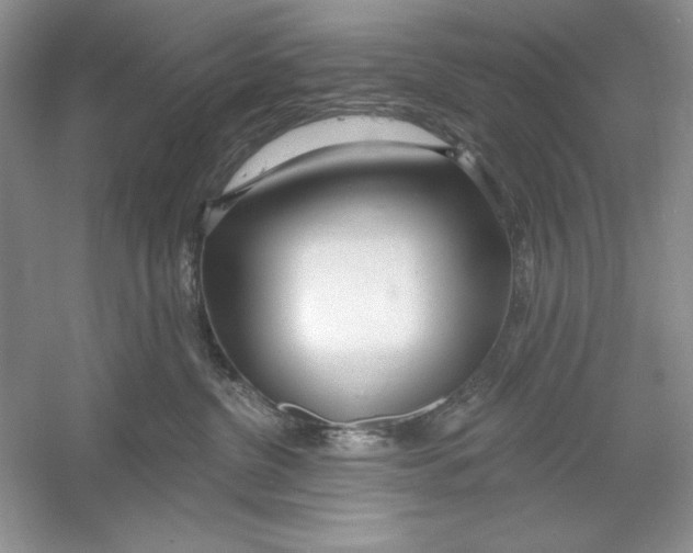 X0000053000380200508051140