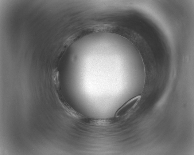 X0000053000383200508051140